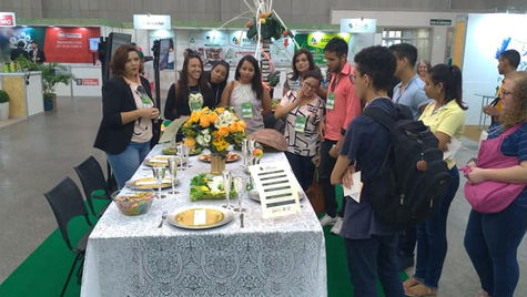 Educação e Arte Ambiental