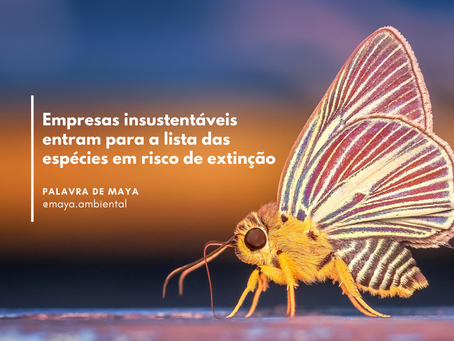 Empresas insustentáveis estão em risco de extinção