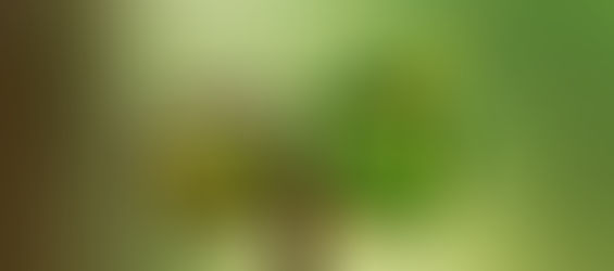 Inteligência Natural e Inovação