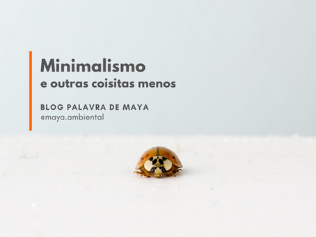 Minimalismo... e outras coisitas menos
