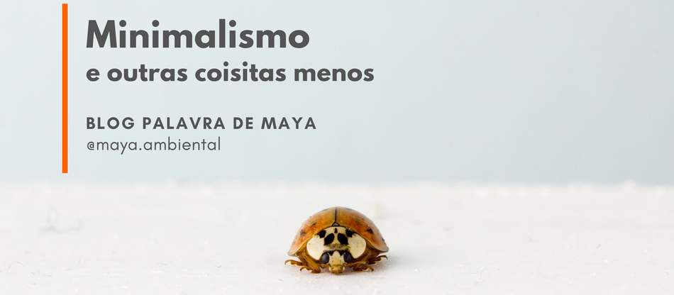 Minimalismo... e outras coisitas menos