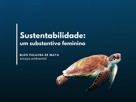 Sustentabilidade: um substantivo feminino