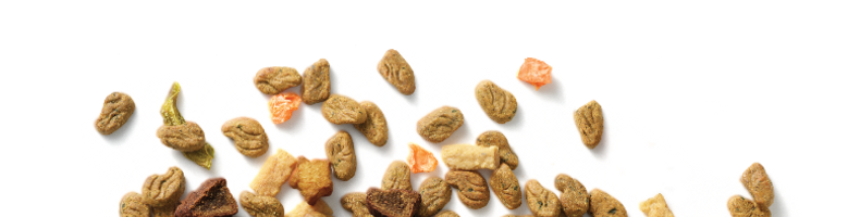 true-meals product page-bottom food pile image-1.png