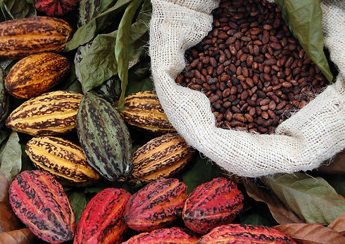 cocoa-image-report-page-2400x1700.jpeg