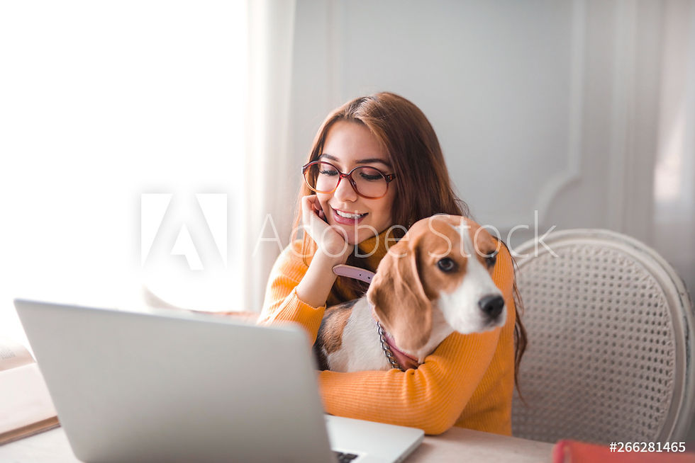 Erste Hilfe am Hund