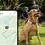 Miniaturbild: GPS Tracker Tractive
