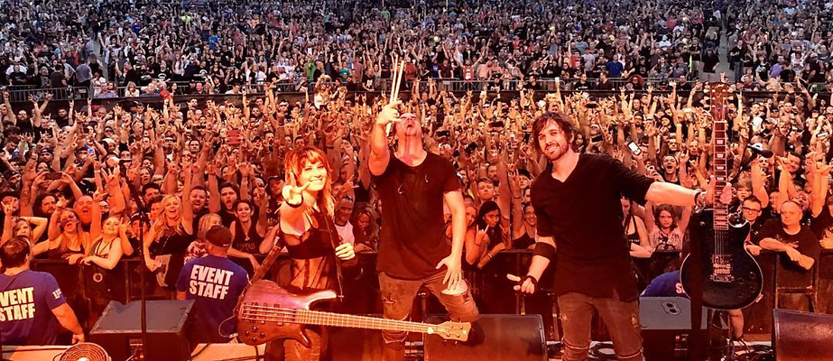 Sick Puppies