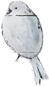 birds_edited.png