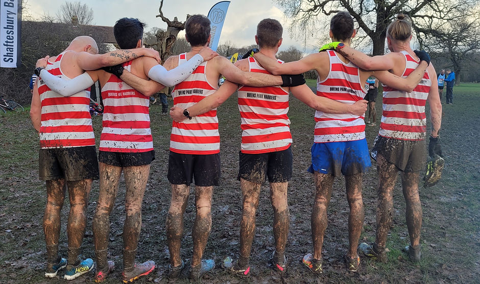 The backs of 6 Harriers after running an event, covered in mud