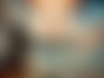 OVERWATCH: THE GUARDIANS OF THE KINGDOM