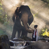 AdobeStock_128016723-1.jpeg