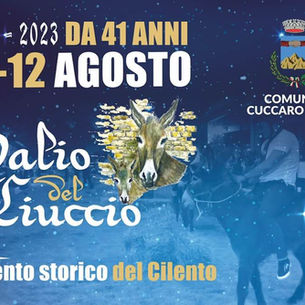 Palio del Ciuccio 2023