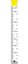 Ruler