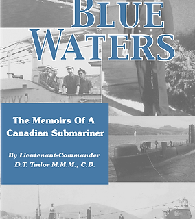 Blue Waters Cover small size.png