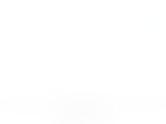 Patent Trial and Appeal Board (PTAB) petitions