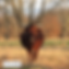 Group 6026457.png