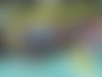 TRÈFLE TALANÇONNAIS 2017