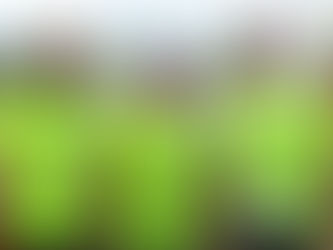 Foulées du lac kir 2017