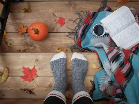 Autumn Newsletter 2024