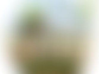 Novembre avec Branches de Vie : du prénom hérité à la quintessence personnelle