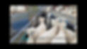stock%252520ezy%252520flow%252520control%252520gate_edited_edited_edited.jpg