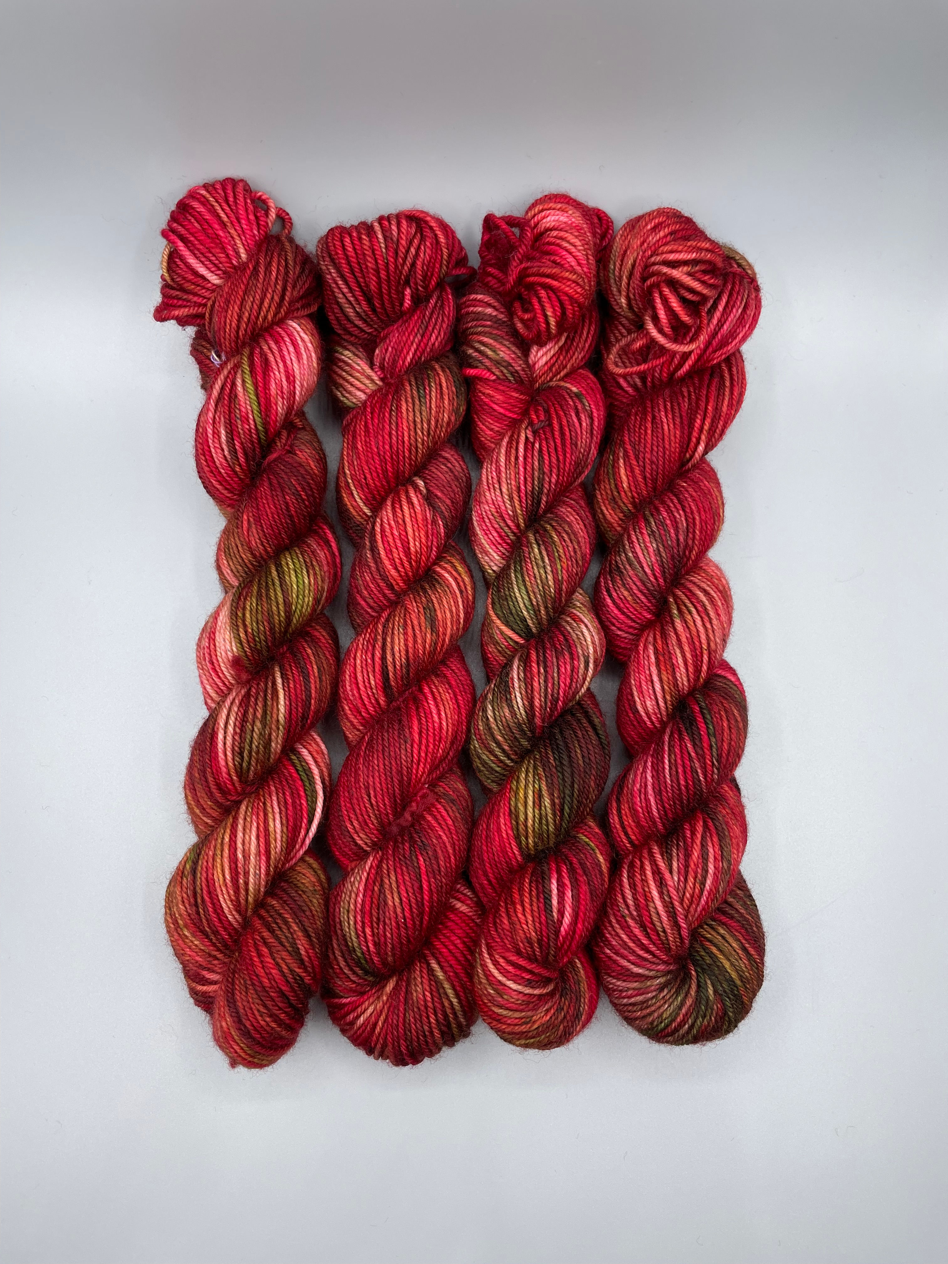 Poinsettias are Poisonous (Super Worsted)