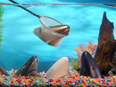 HOOKED BY THE SHARKS!