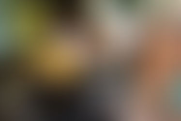 Mona Bay //Circus Dogs Single Review