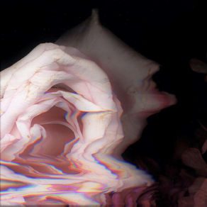 GRAZER - Without You REVIEW