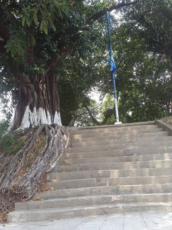 13059374_988144194602138_950738810_n