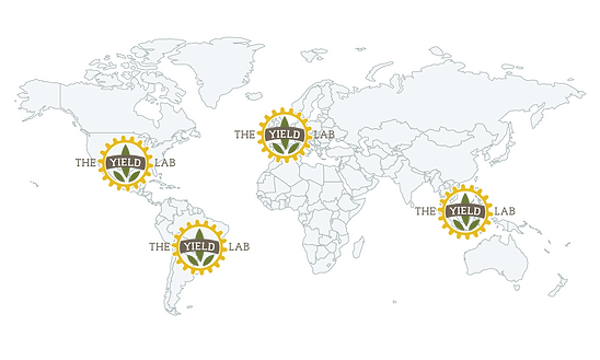TYL_global_presence_1 (2).png