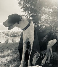 Max, 10 YO Great Dane