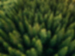 AdobeStock_192168592.jpeg