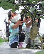 up用 (1).JPG