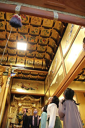 IMG_8292.JPG