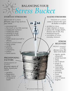 Stress Bucket