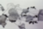 grapevine drawing