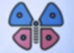 moth color