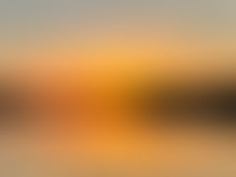 Before You Try to Fix Your Business, Do This First