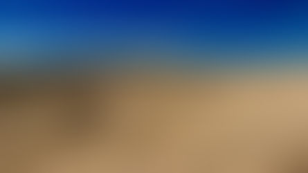 Jour 2 : VTT à Anza Borrego Desert