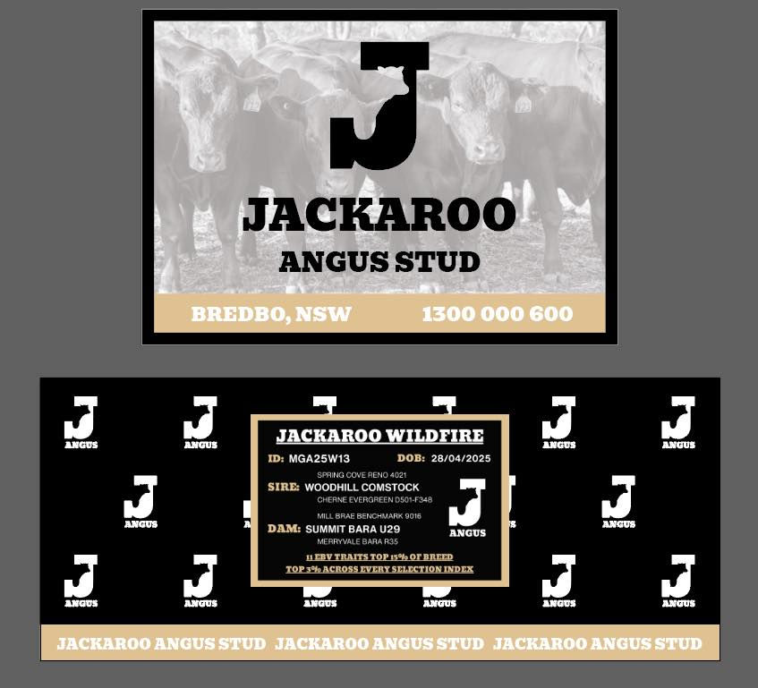 Jackaroo Angus Show Display