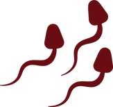 Asset 9.png