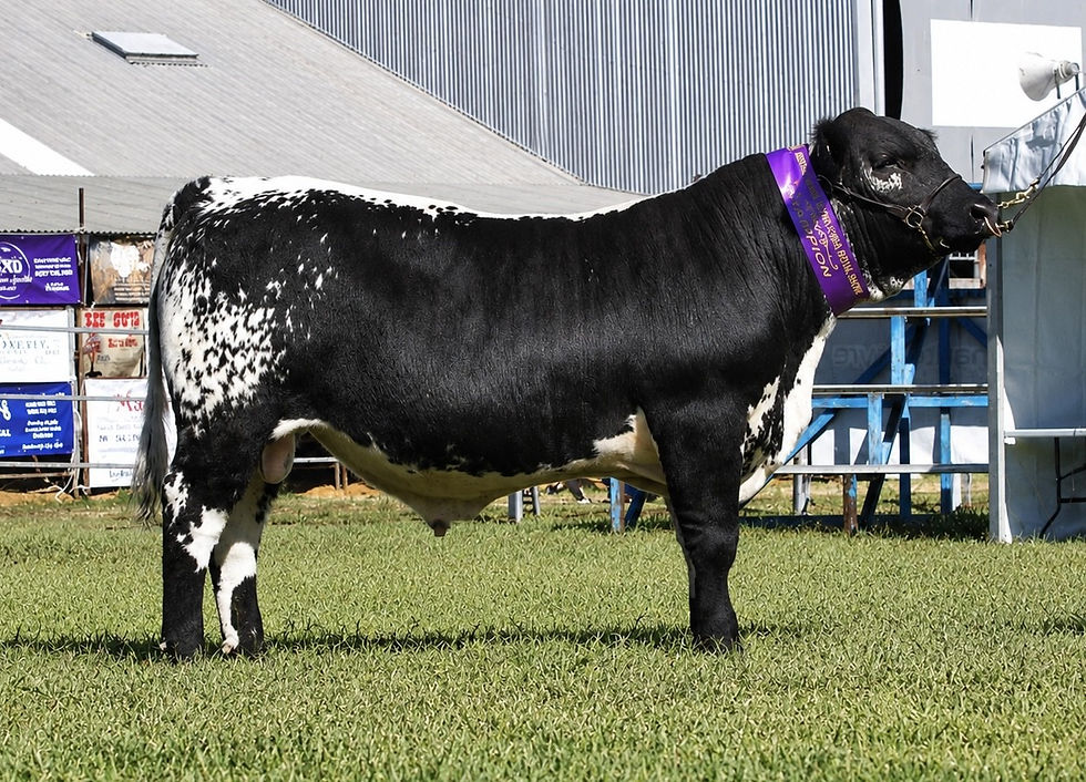 The General - Progeny of Wendy LST Q168