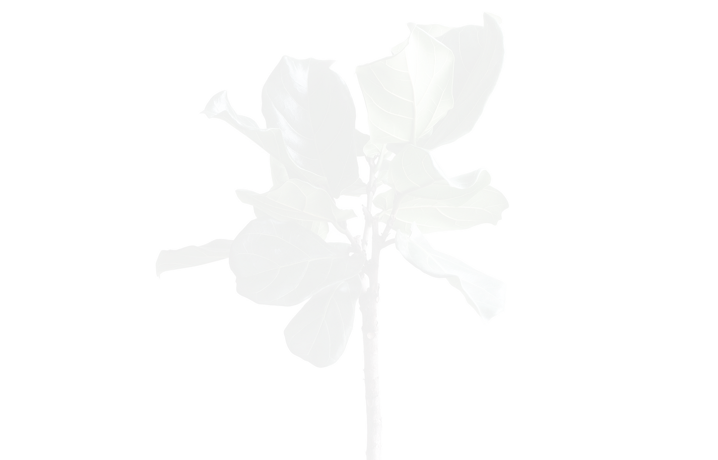 Green%252520Plant_edited_edited_edited.p