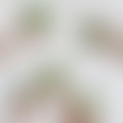 GLORIOUS GREEN SMOOTHIE