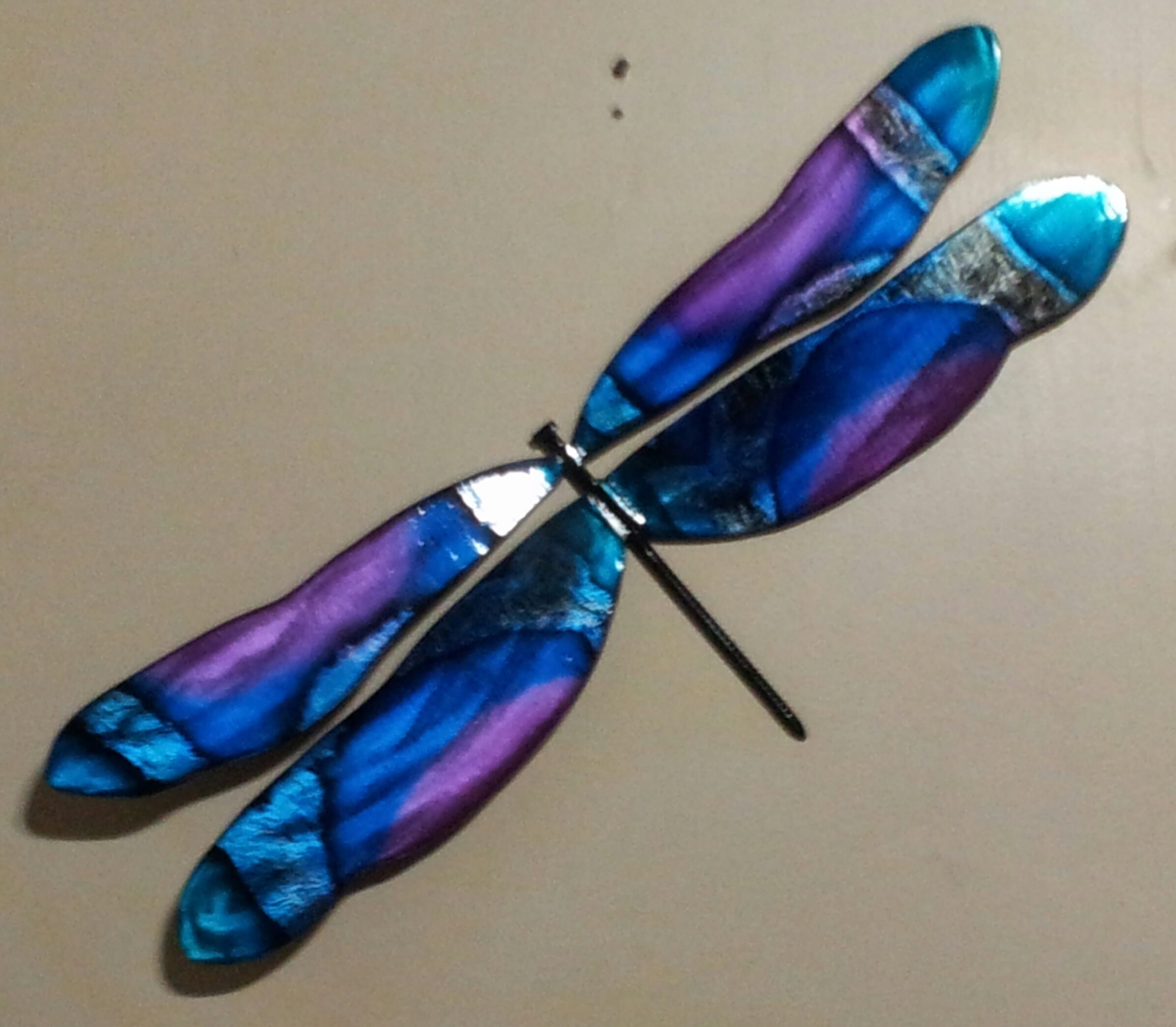 Small Wall Dragonfly