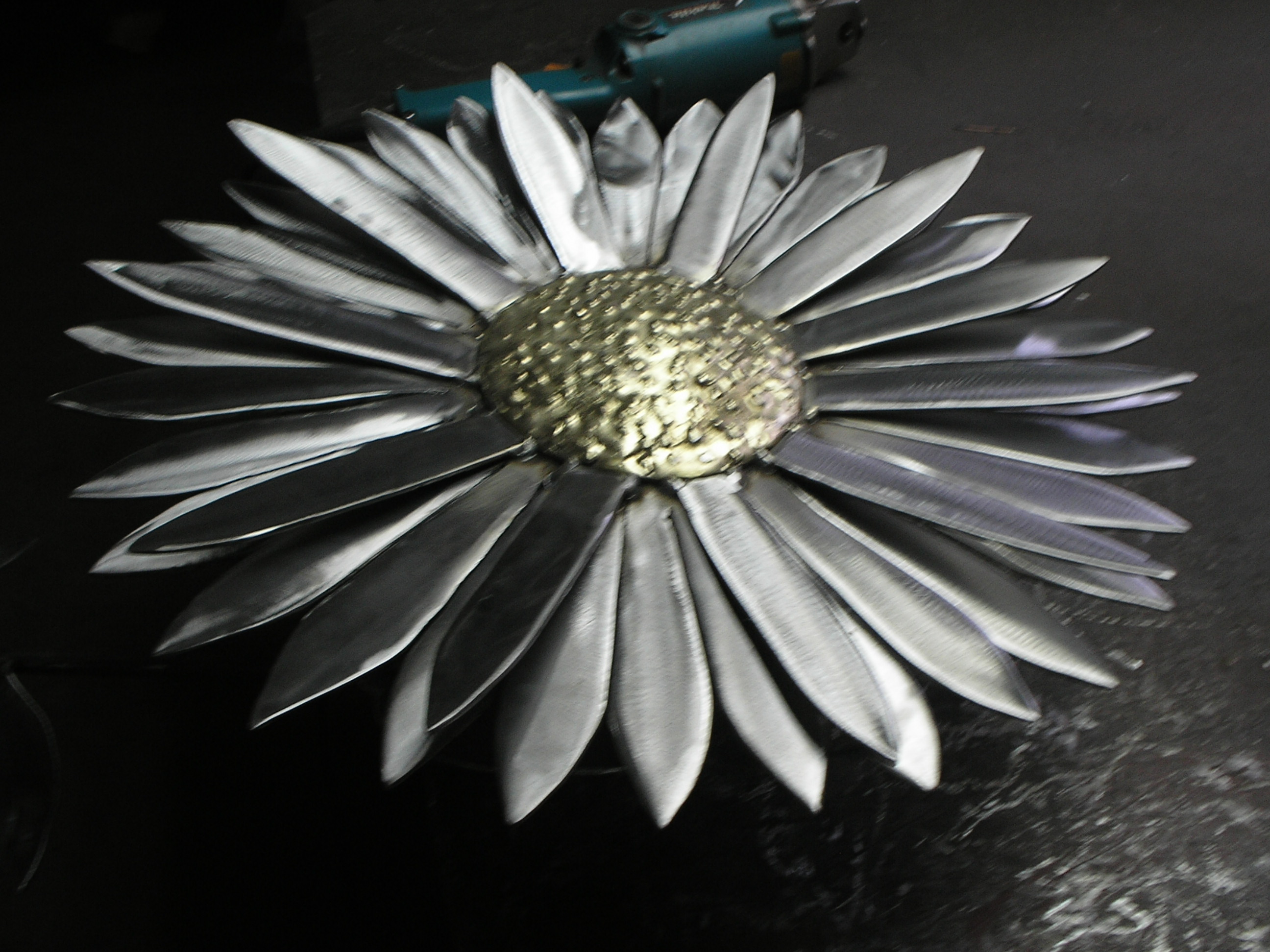 Sunflower Head Close