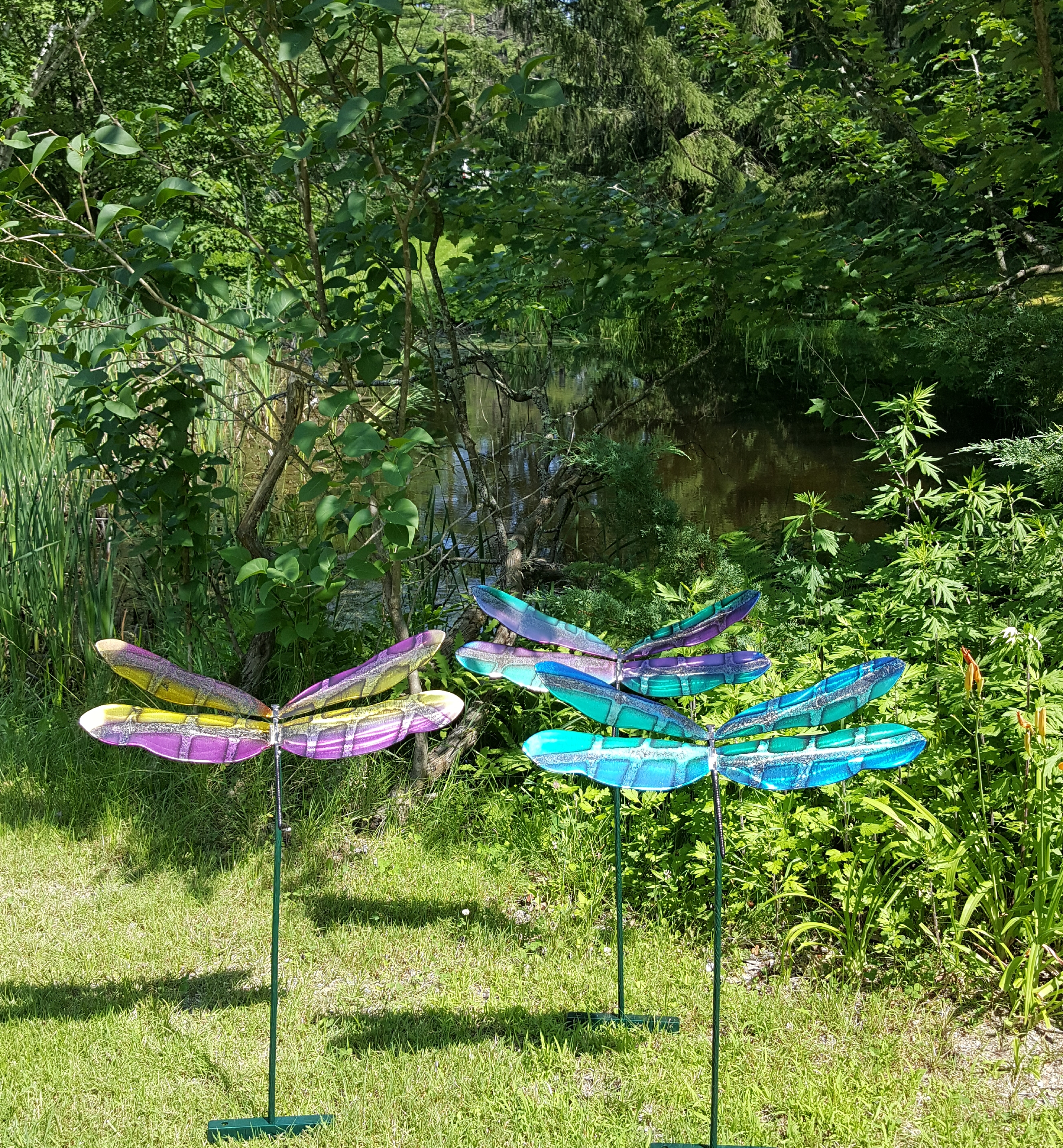 Garden D-Flies by the pond