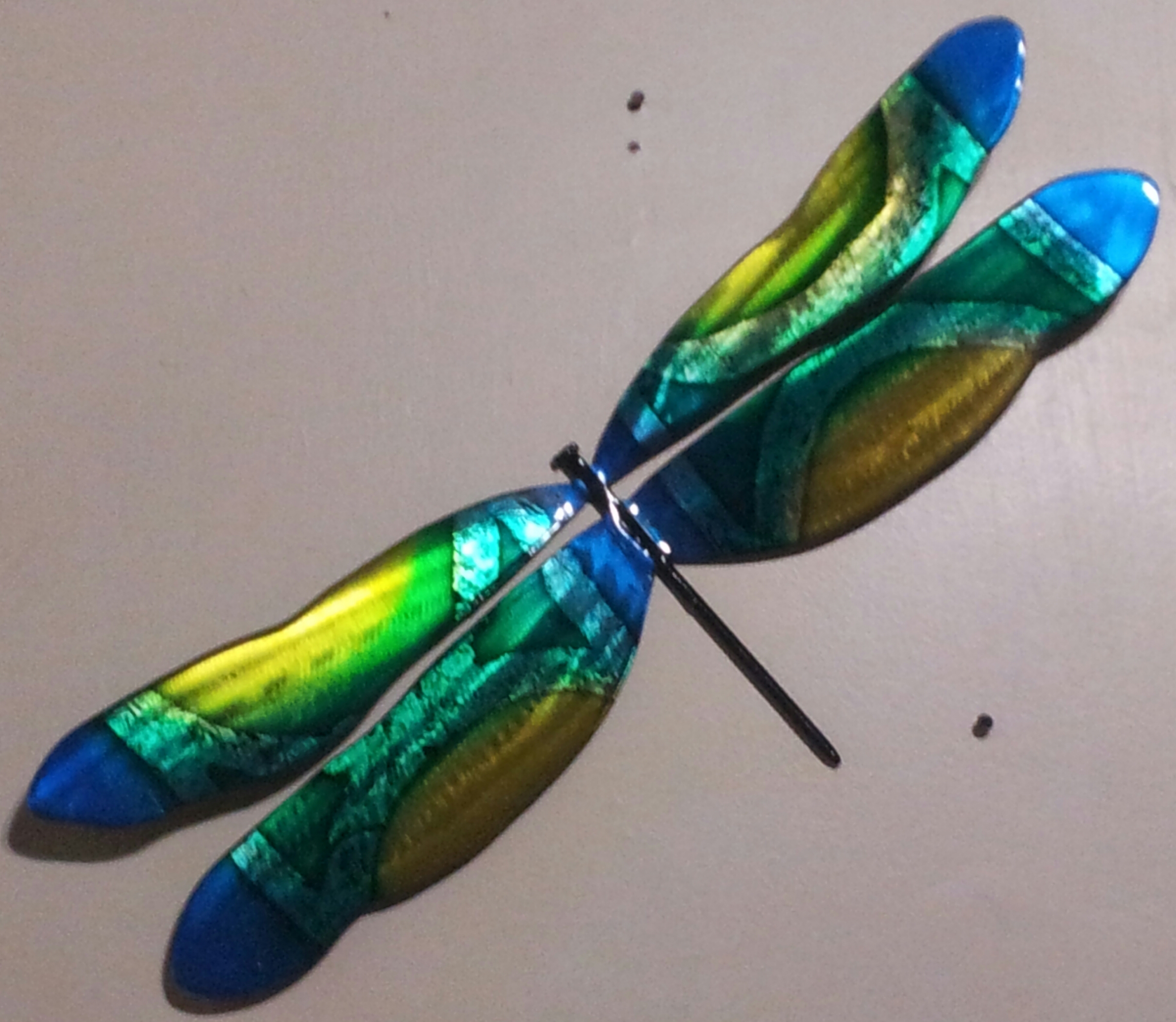 Wall Dragonfly