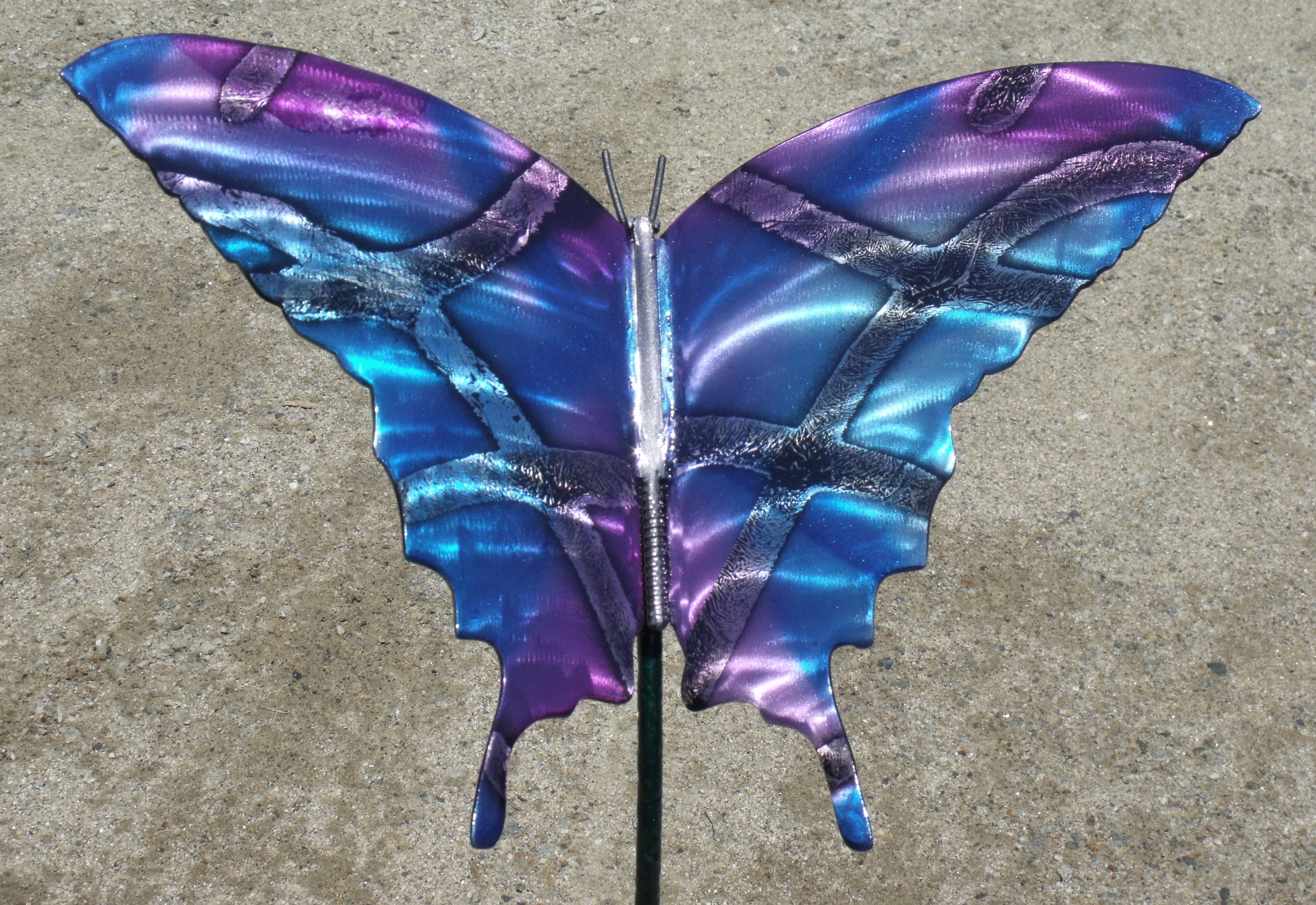 Garden Butterfly